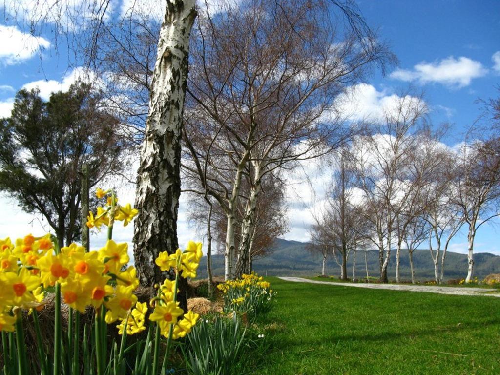 Plovers Ridge Country Retreat Villa Lilydale Ruang foto